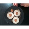 耐高溫防腐蝕氟塑料電纜新品開發(fā)項(xiàng)目 